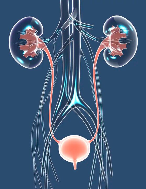 Gesond männlech Gesondheet Illustratioun